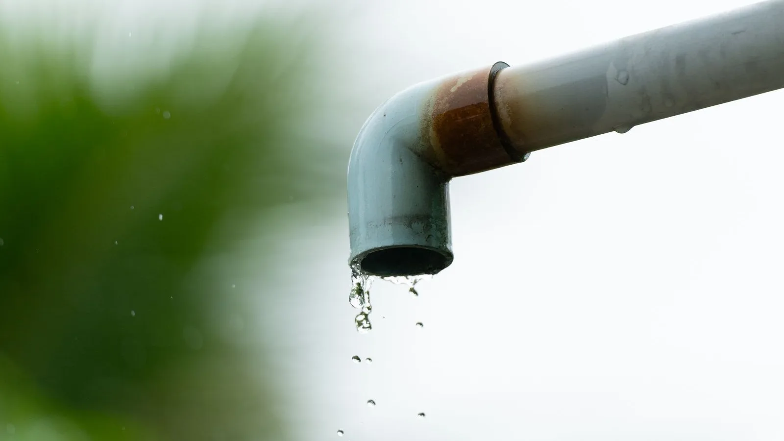 Water dripping from the open end of a white drain pipe elbow outdoors, against a blurred green background
